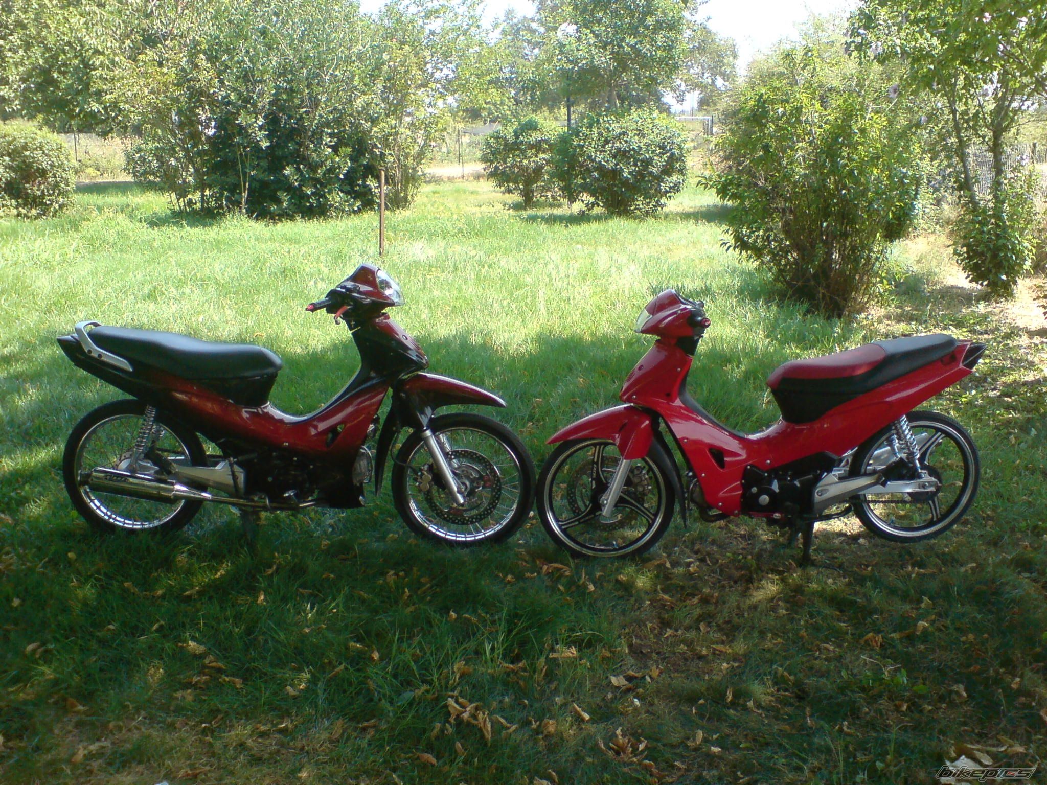 Photo 1382197