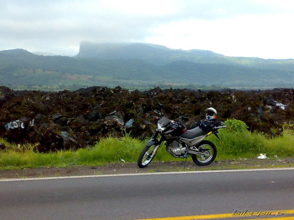 Photo 1382209