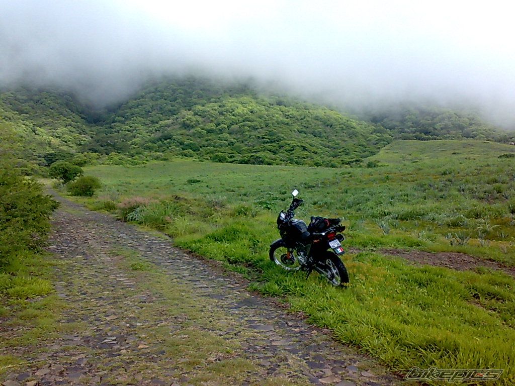 Photo 1382213