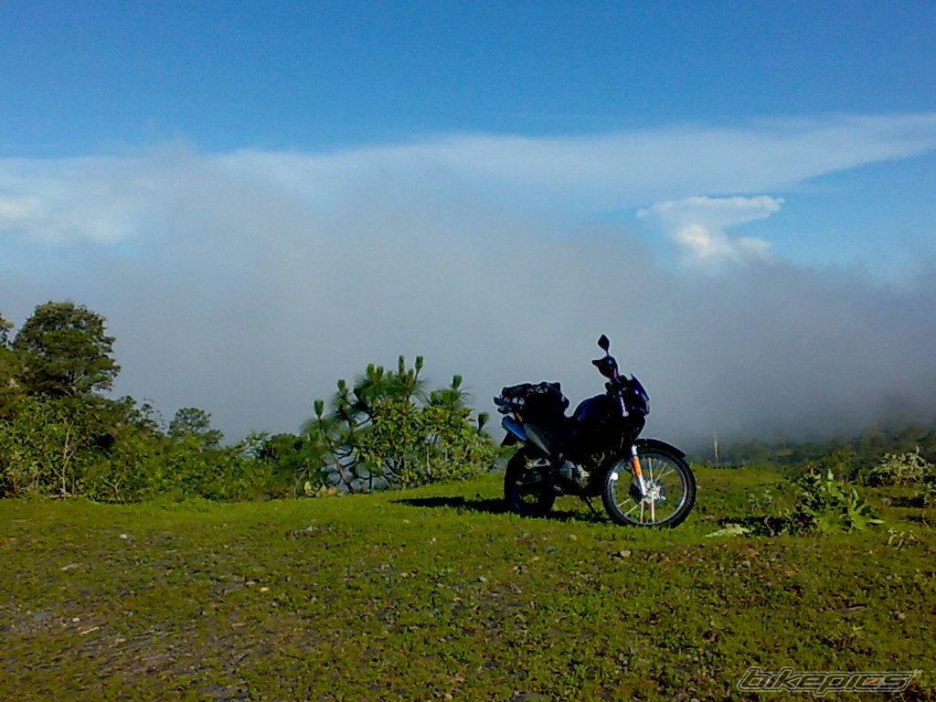 Photo 1382215