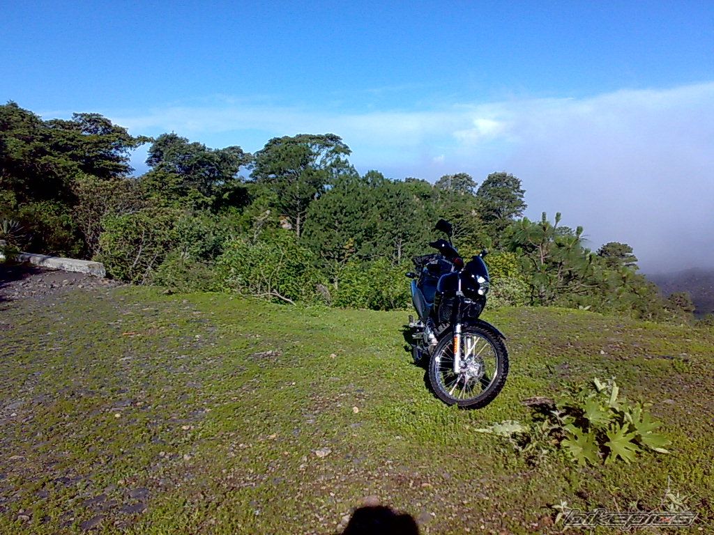 Photo 1382216