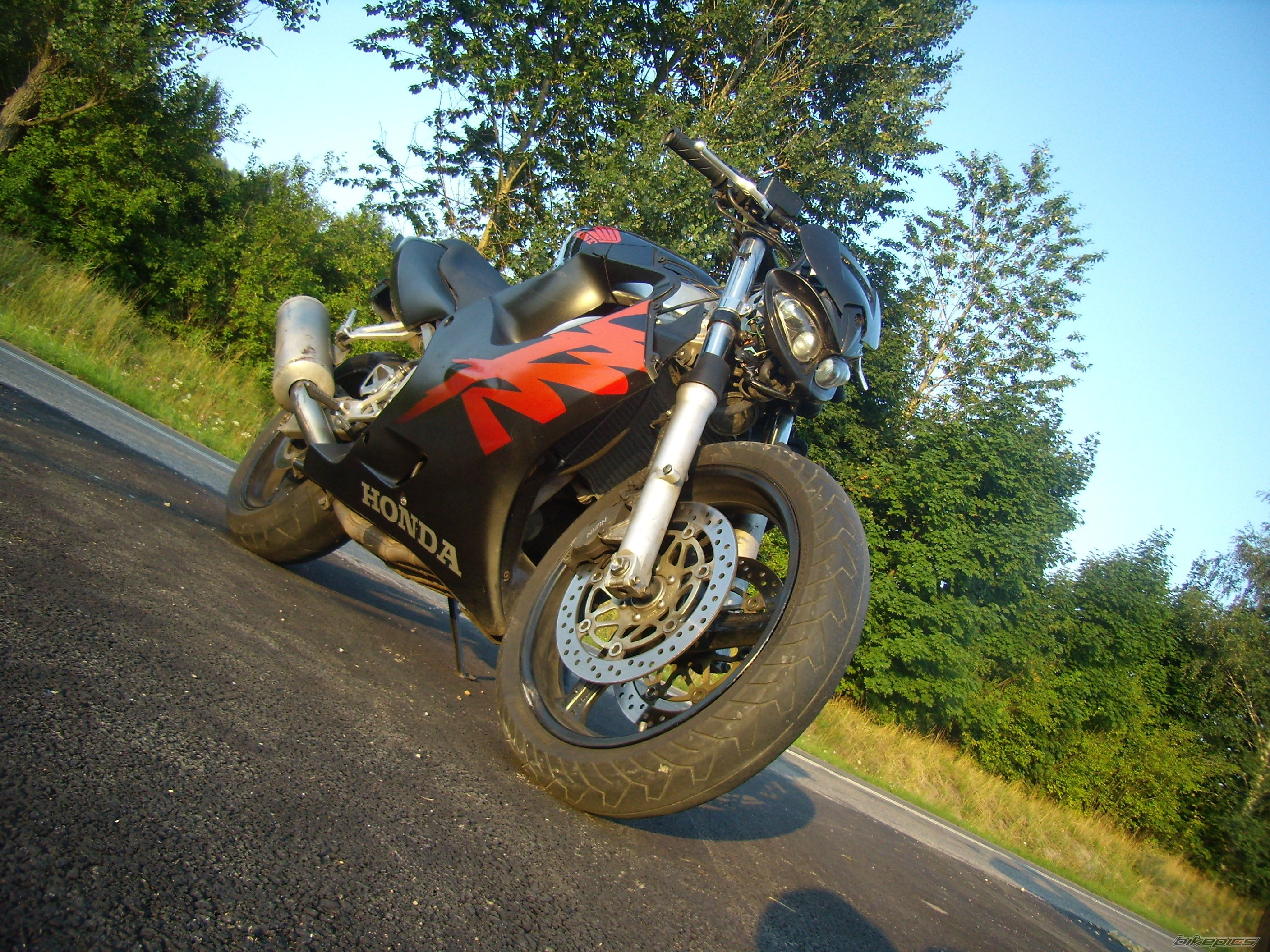 Photo 1382253