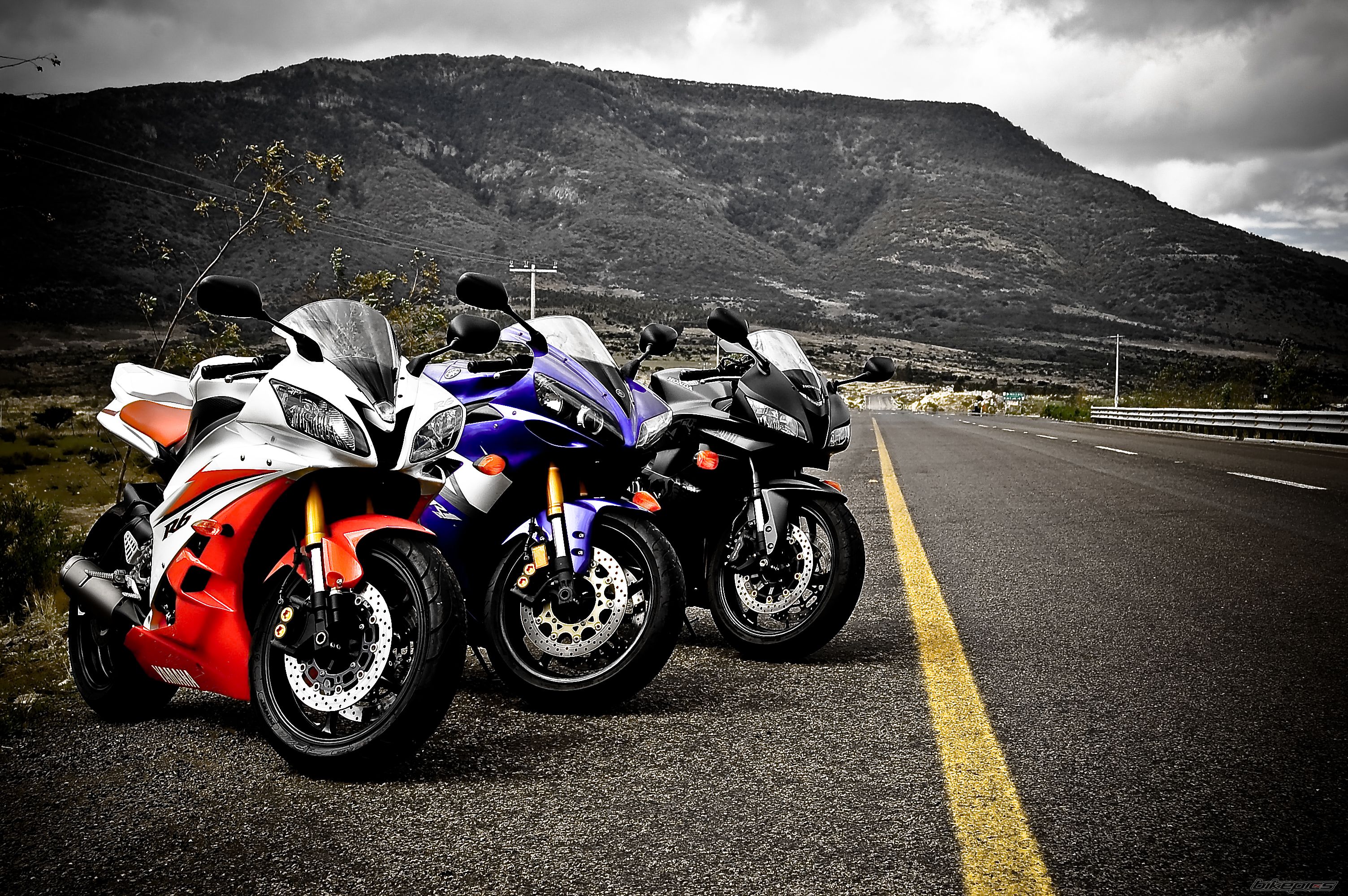 Photo 1382257