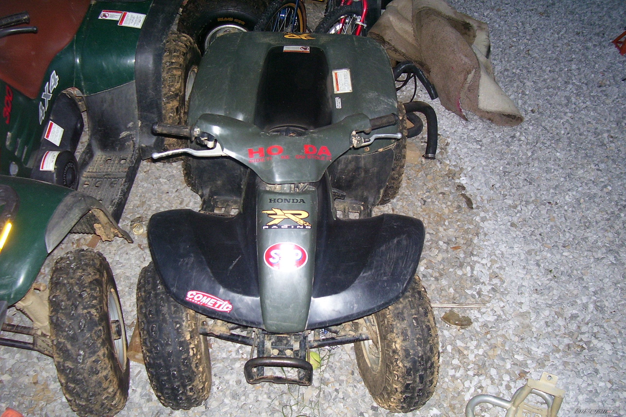 Photo 1382283