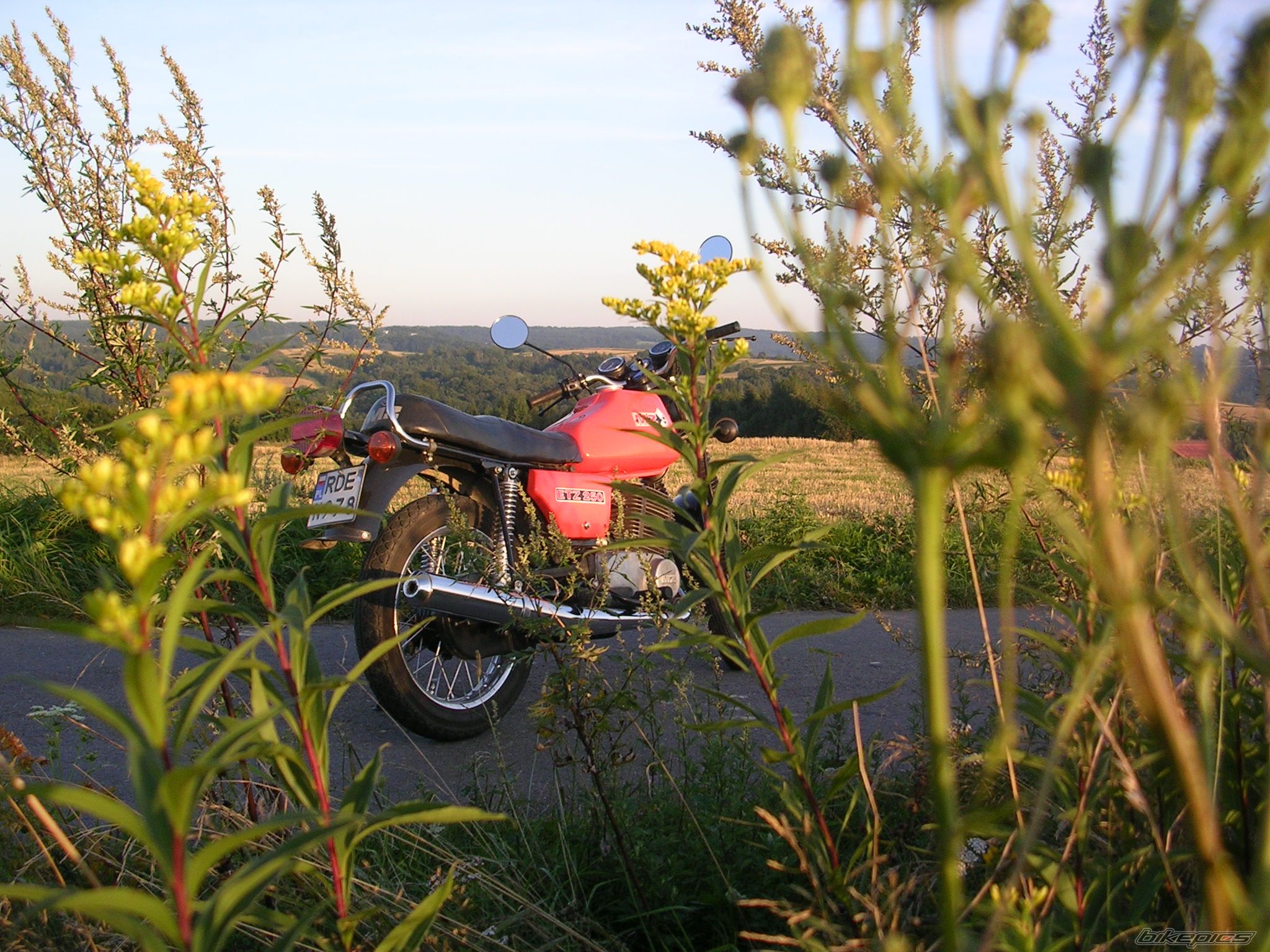 Photo 1382468