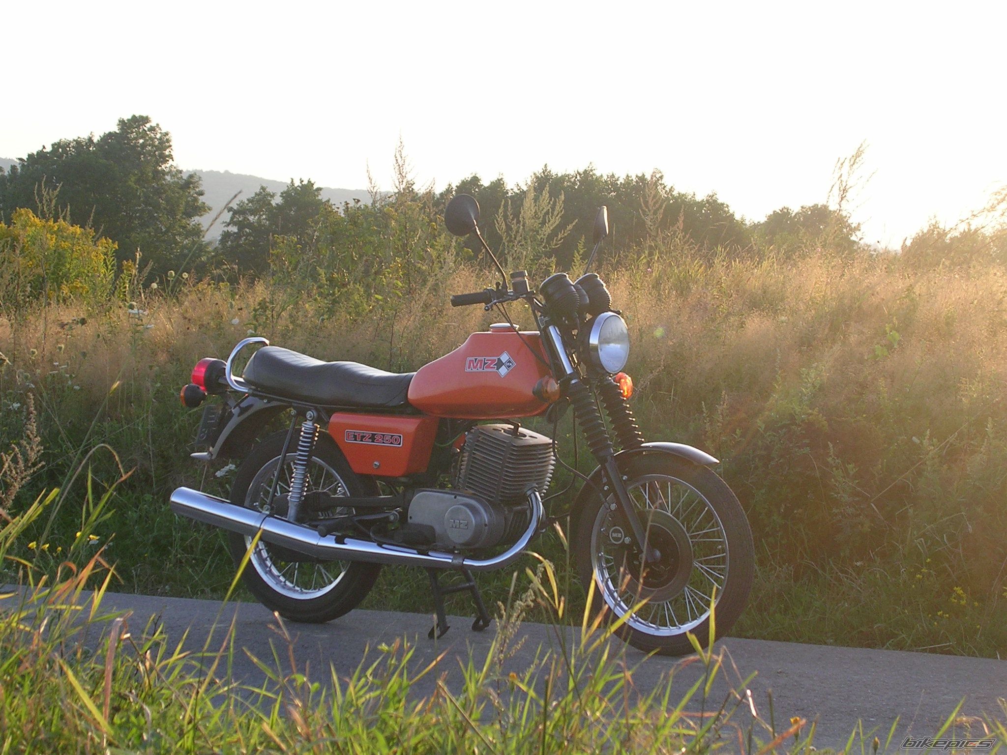 Photo 1382481