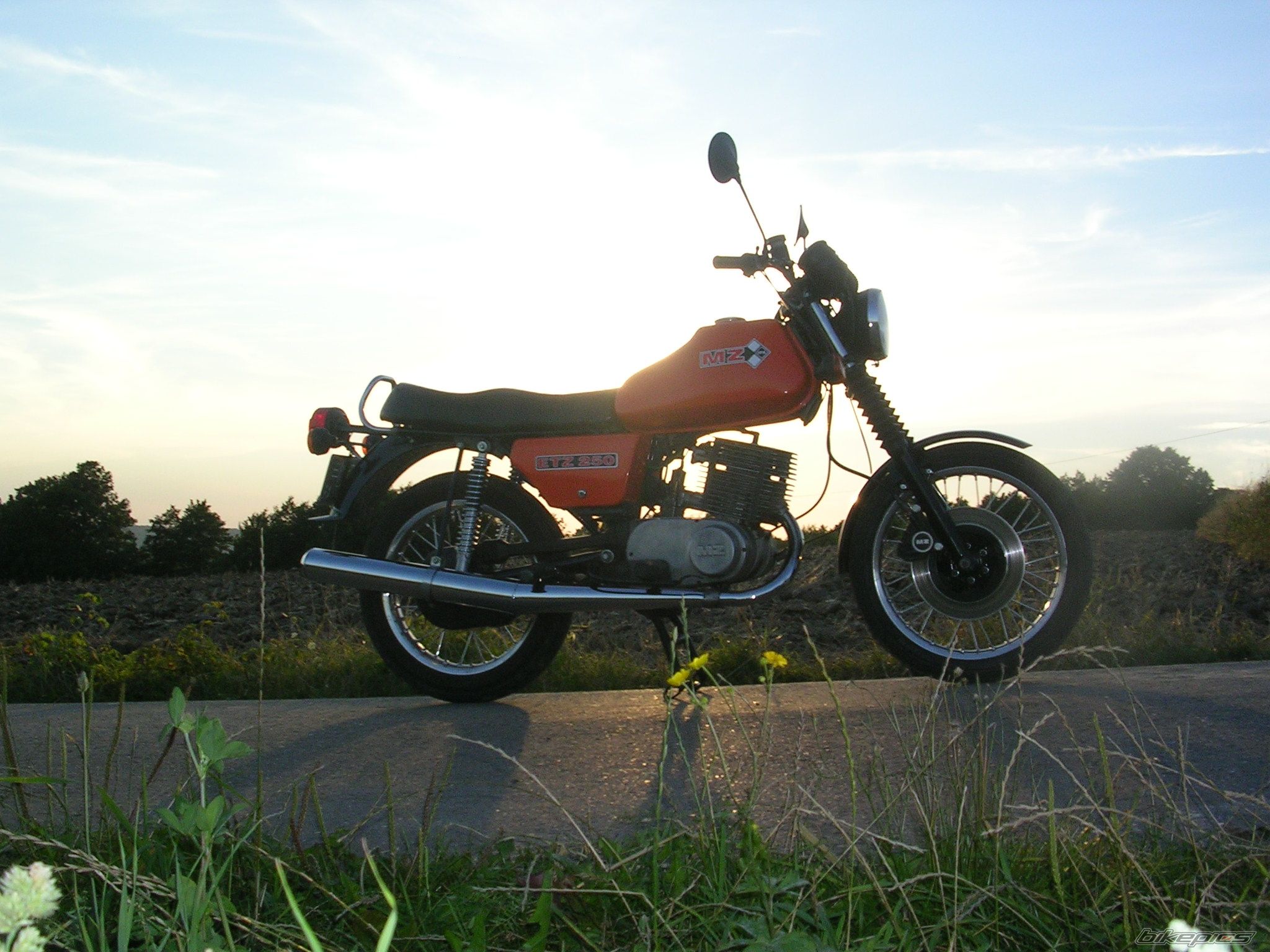 Photo 1382483
