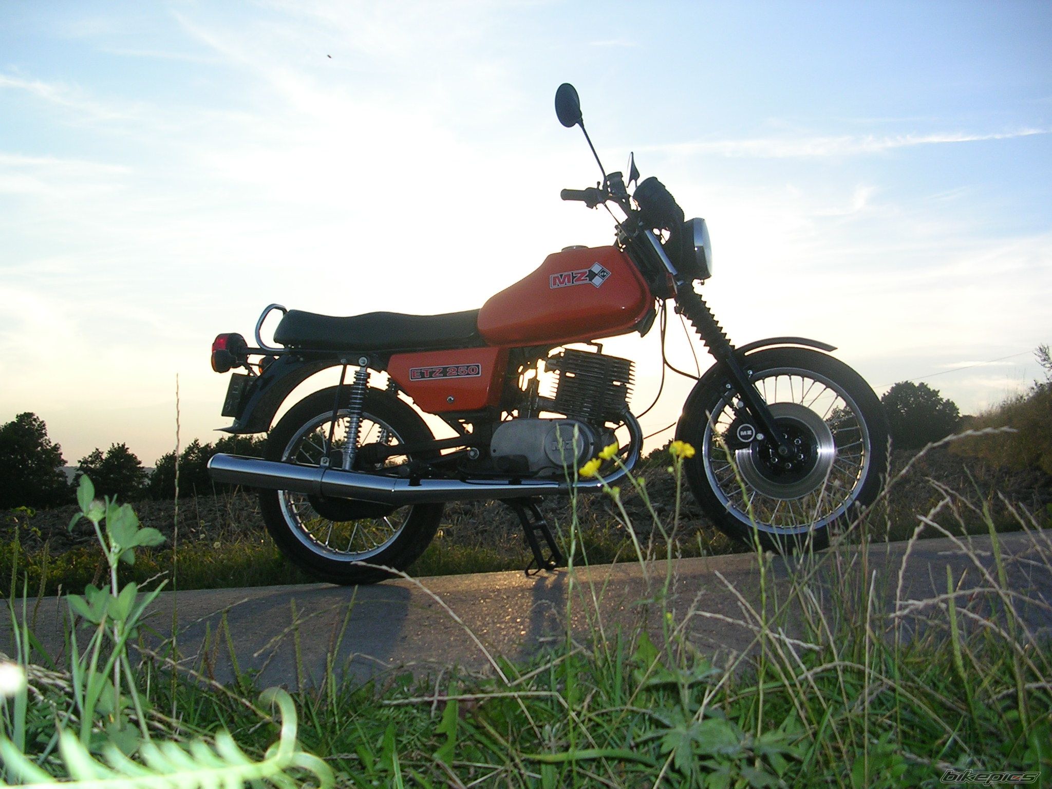 Photo 1382484