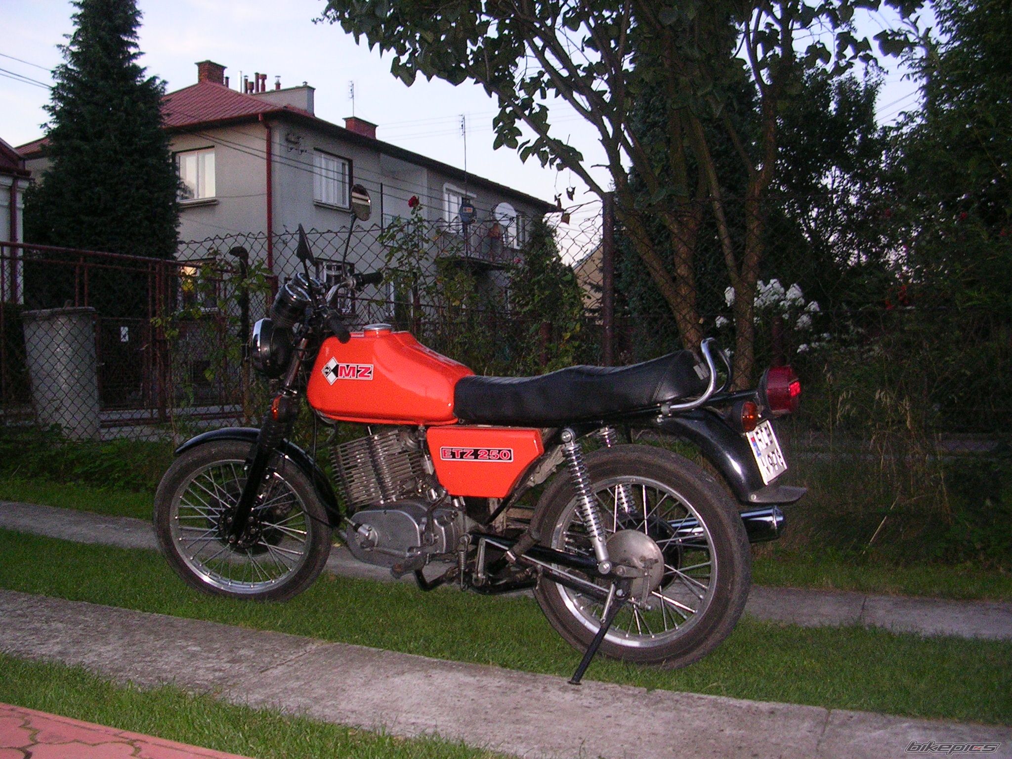 Photo 1382494