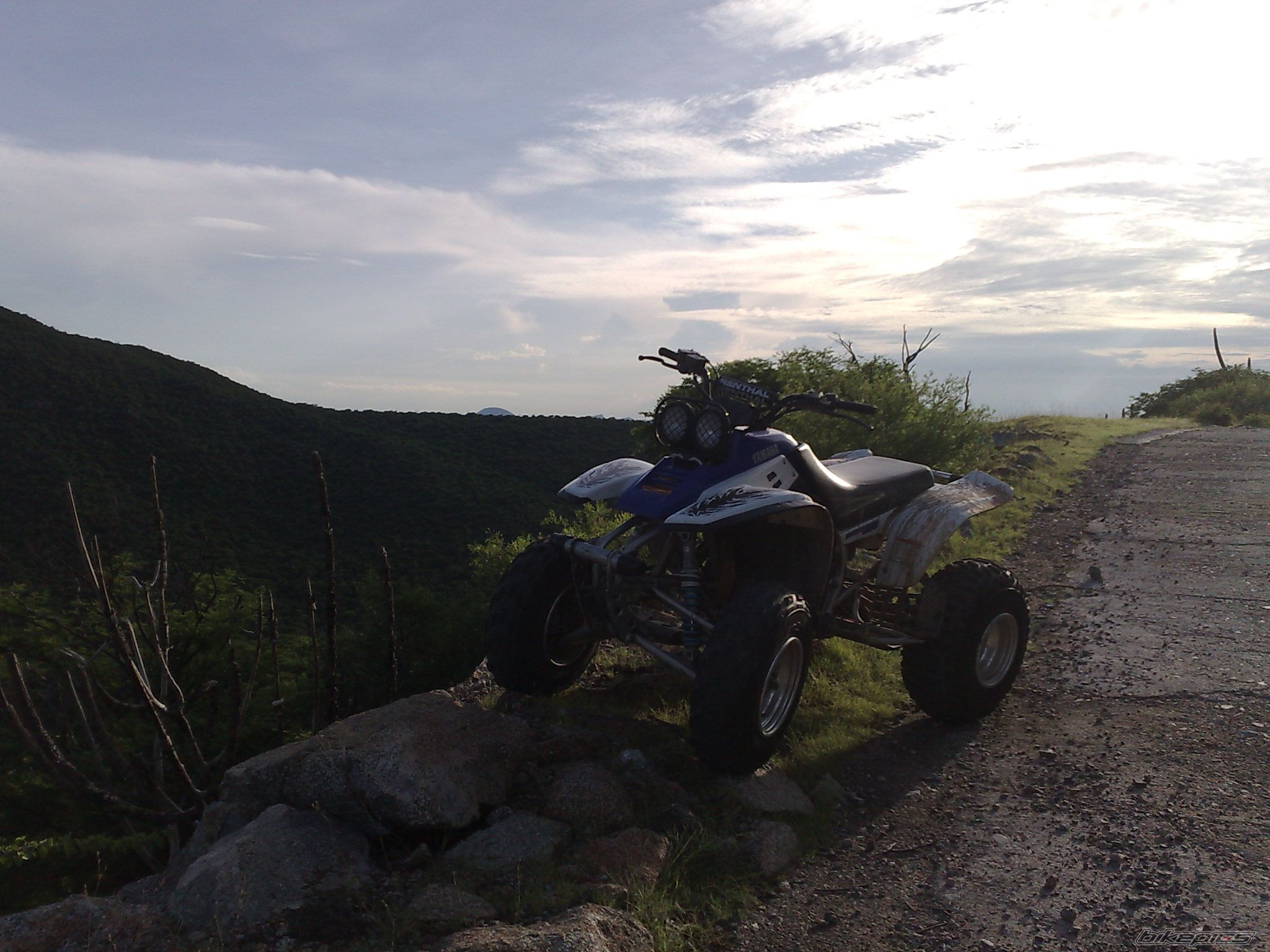 Bike Photo 1382499