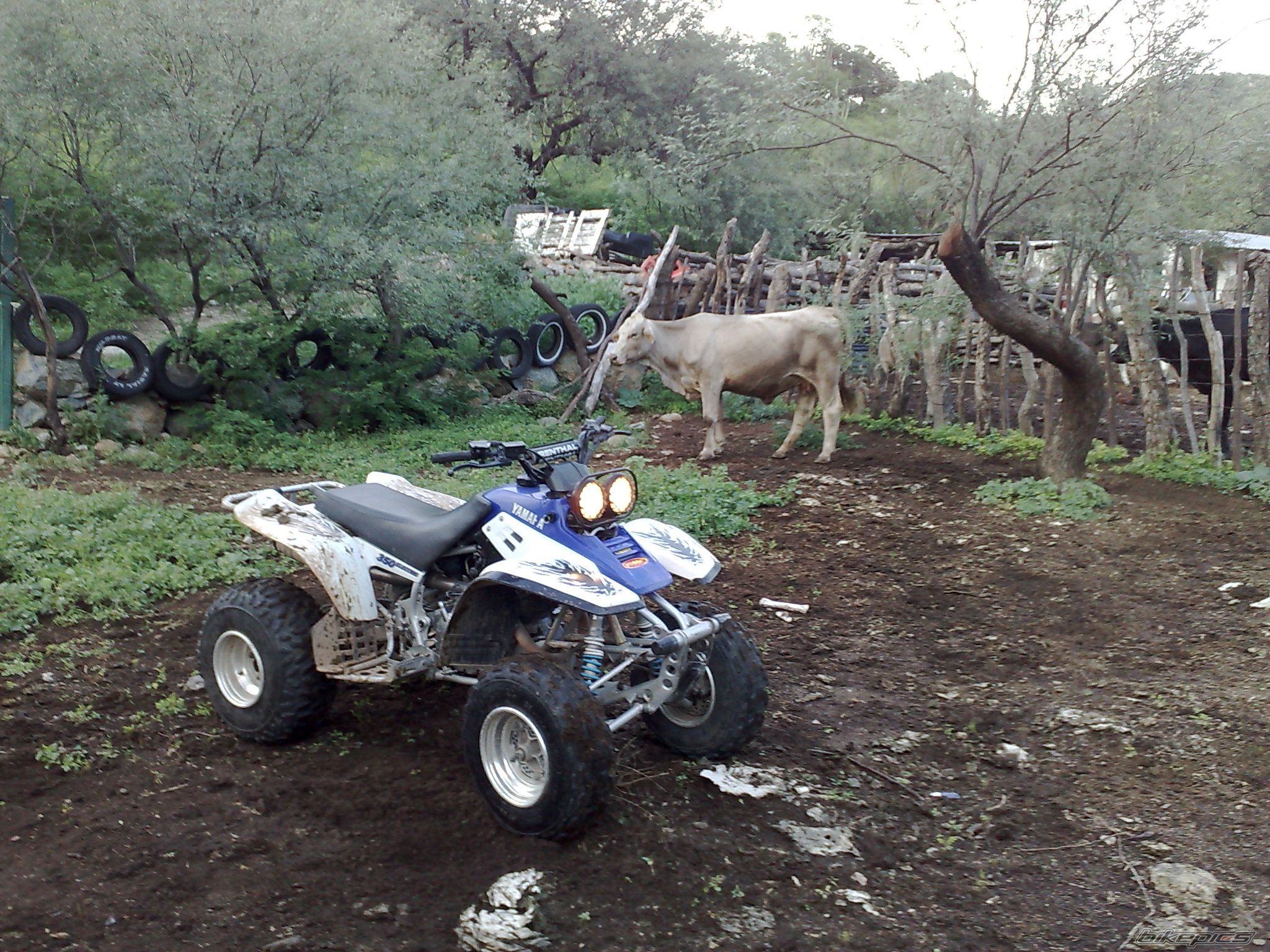 Bike Photo 1382503