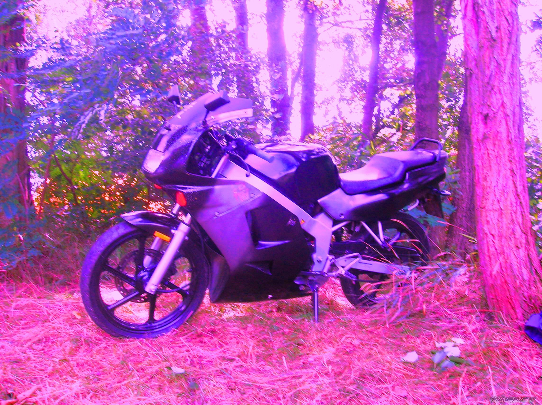 Photo 1382524