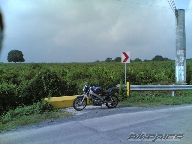 Photo 1382551