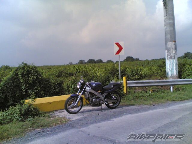Photo 1382552