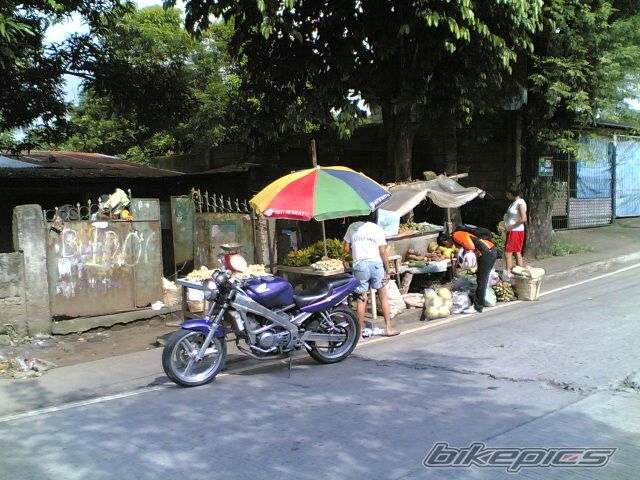 Photo 1382554