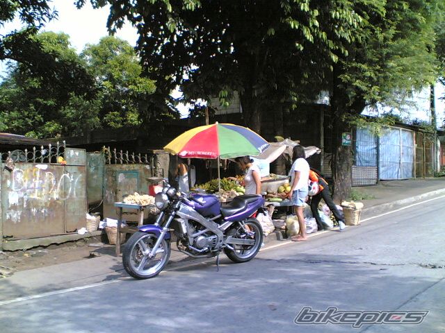 Photo 1382555