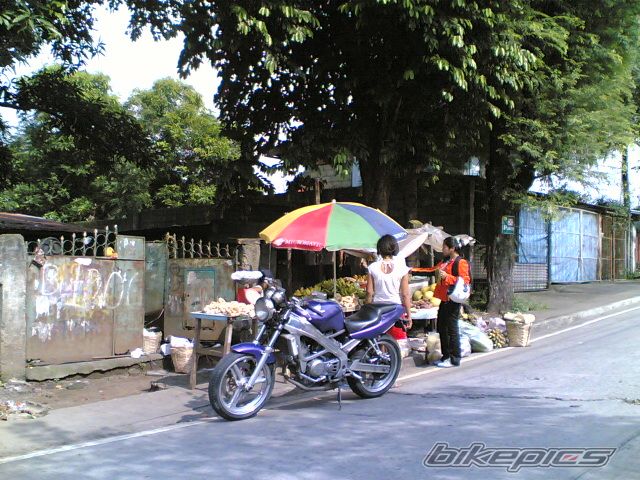 Photo 1382556