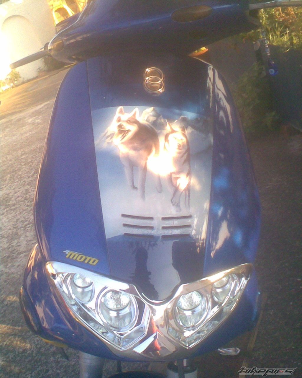 Photo 1382640
