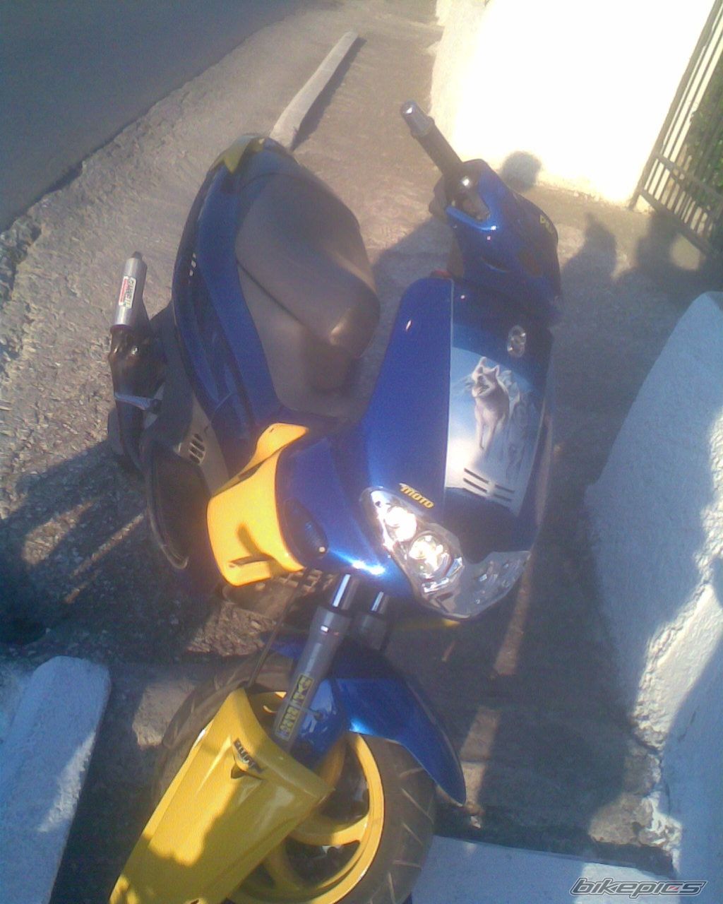 Photo 1382663