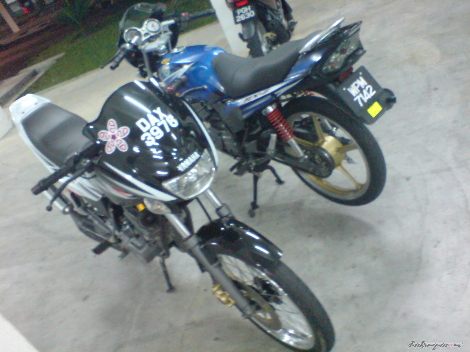 Photo 1382698