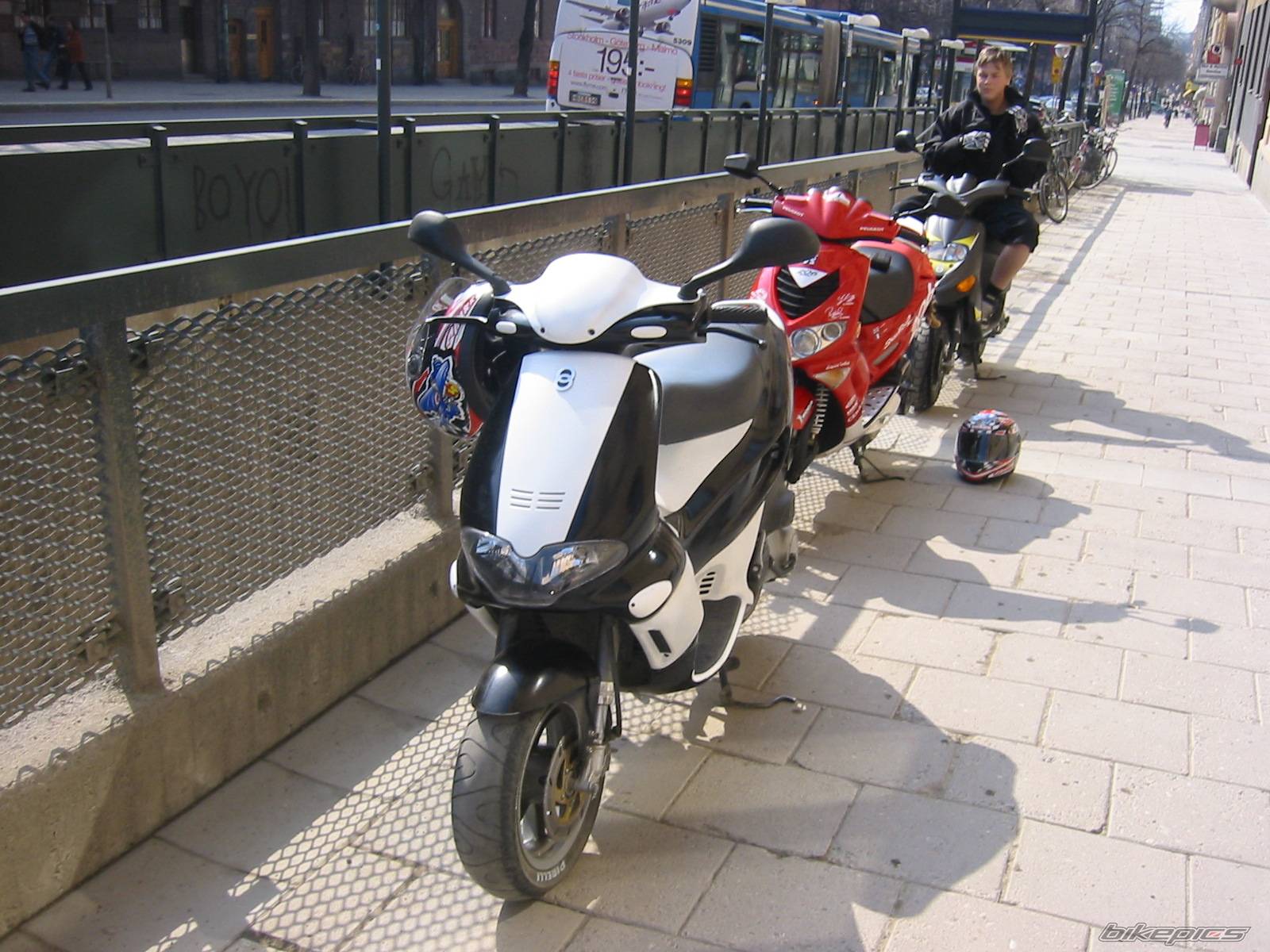 Photo 138271