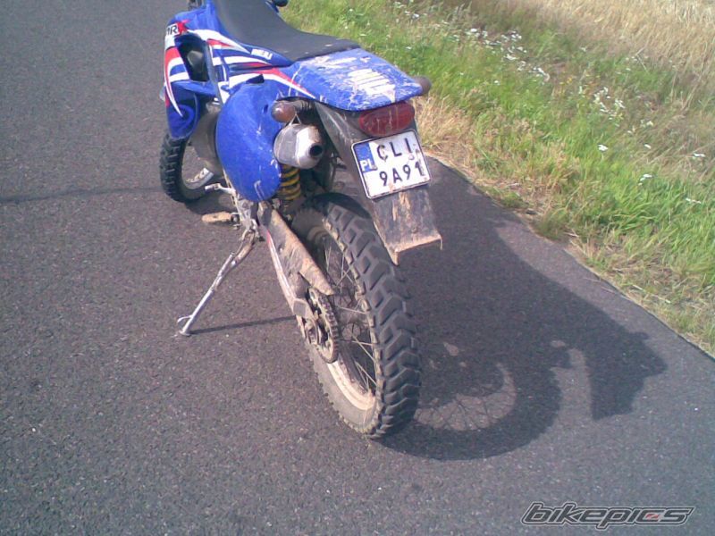 Photo 1382719
