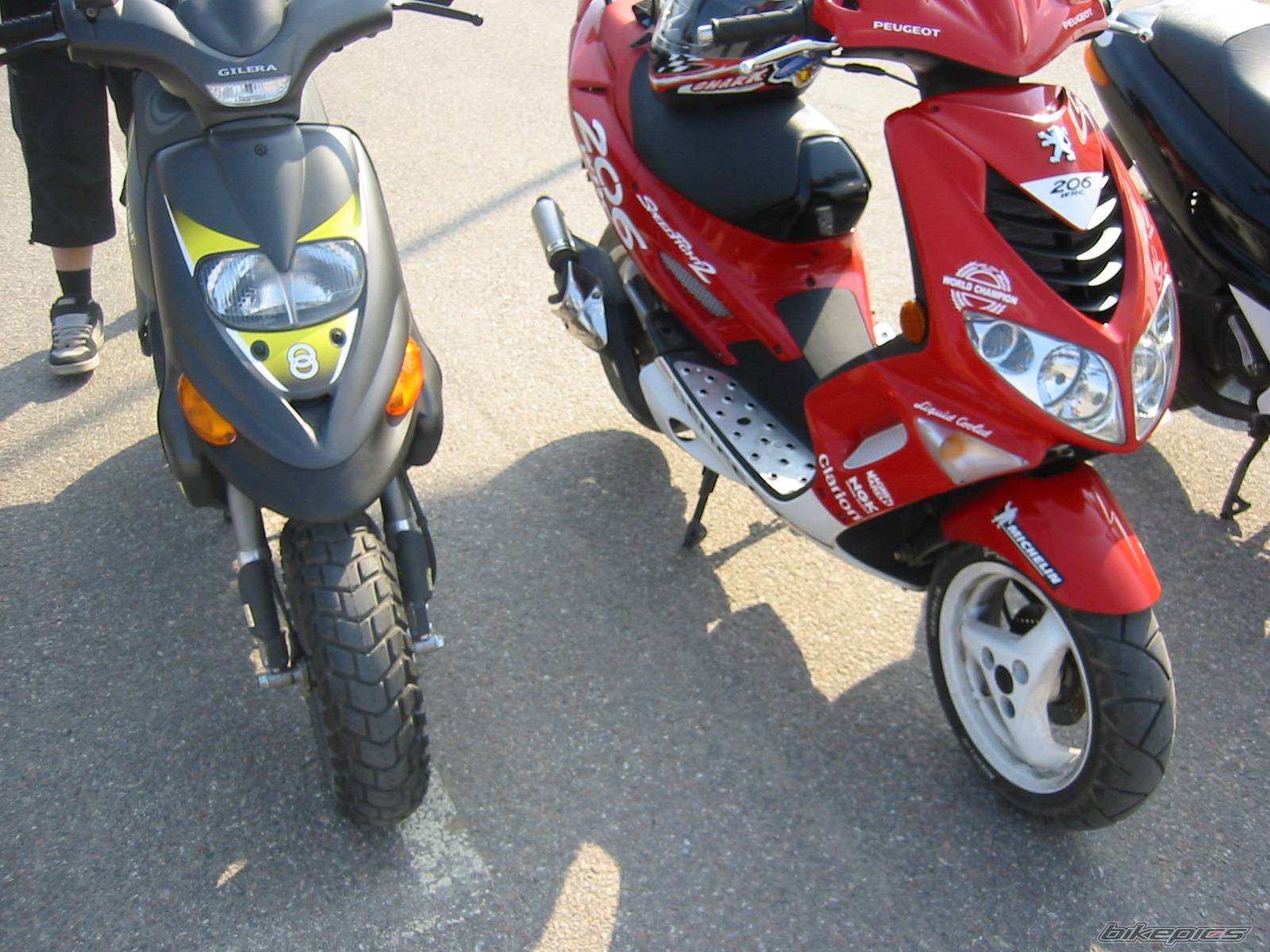 Photo 138273