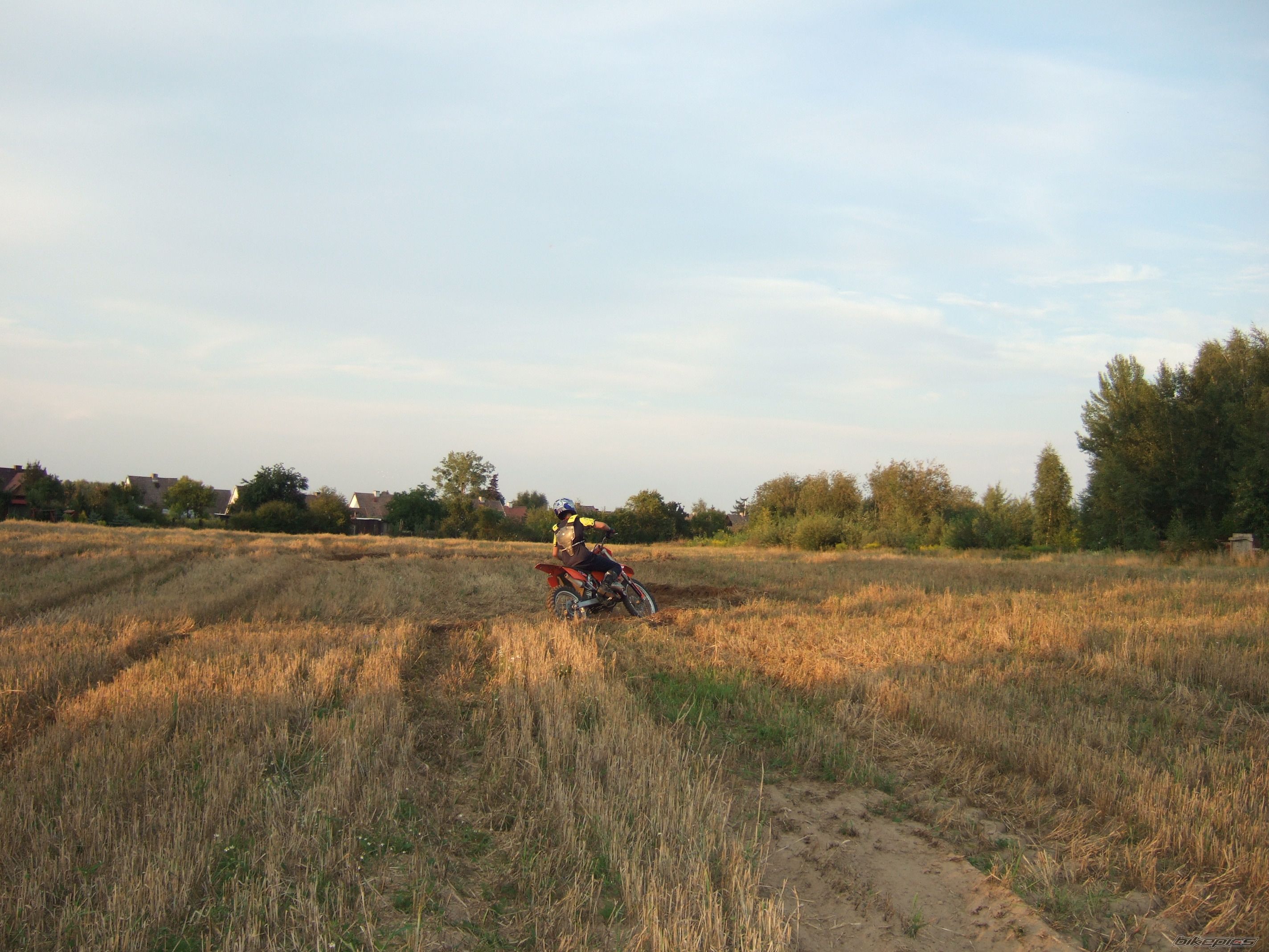 Photo 1382753
