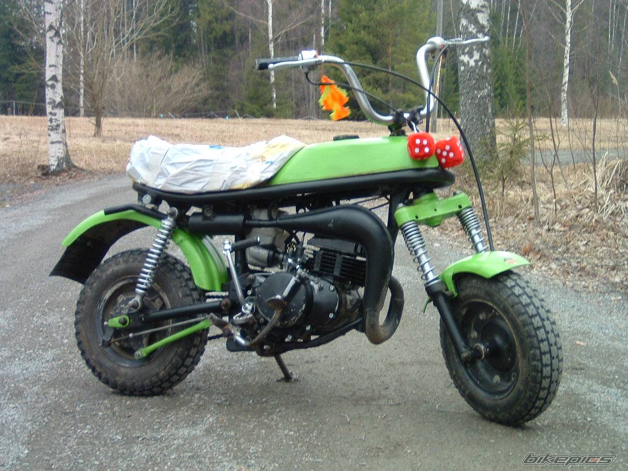 Photo 138280