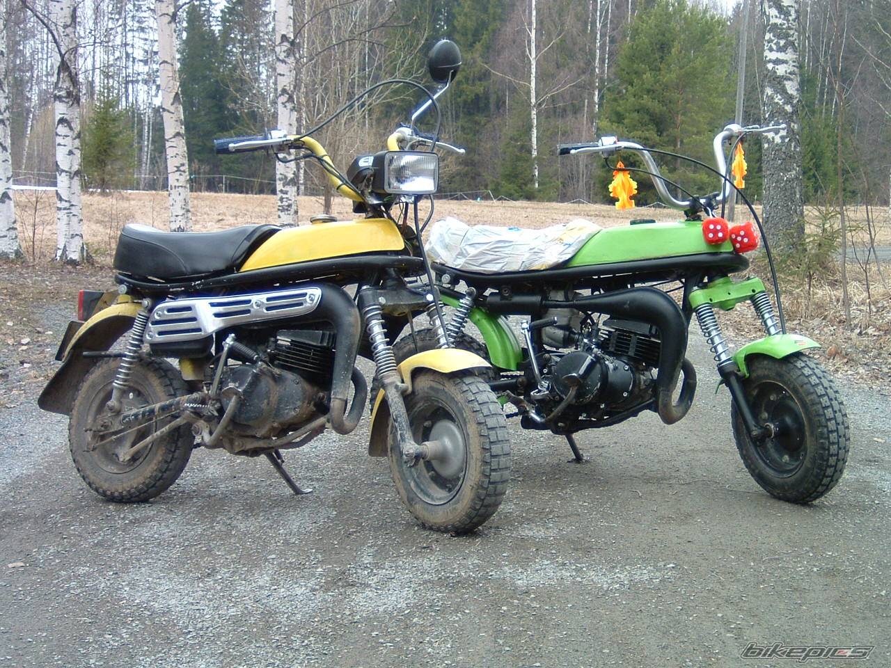 Photo 138281