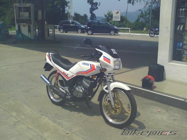 Photo 1382862