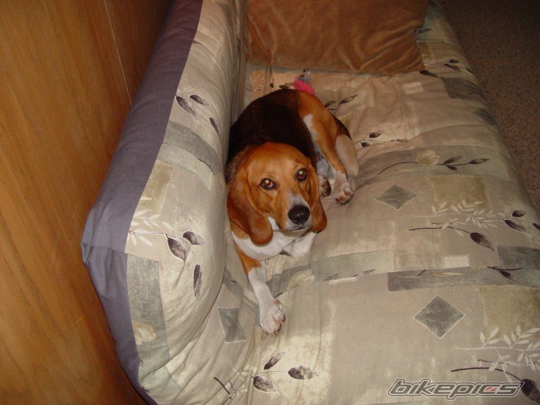 Photo 1382871