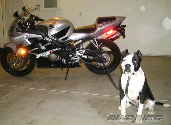 Bike Photo 13829