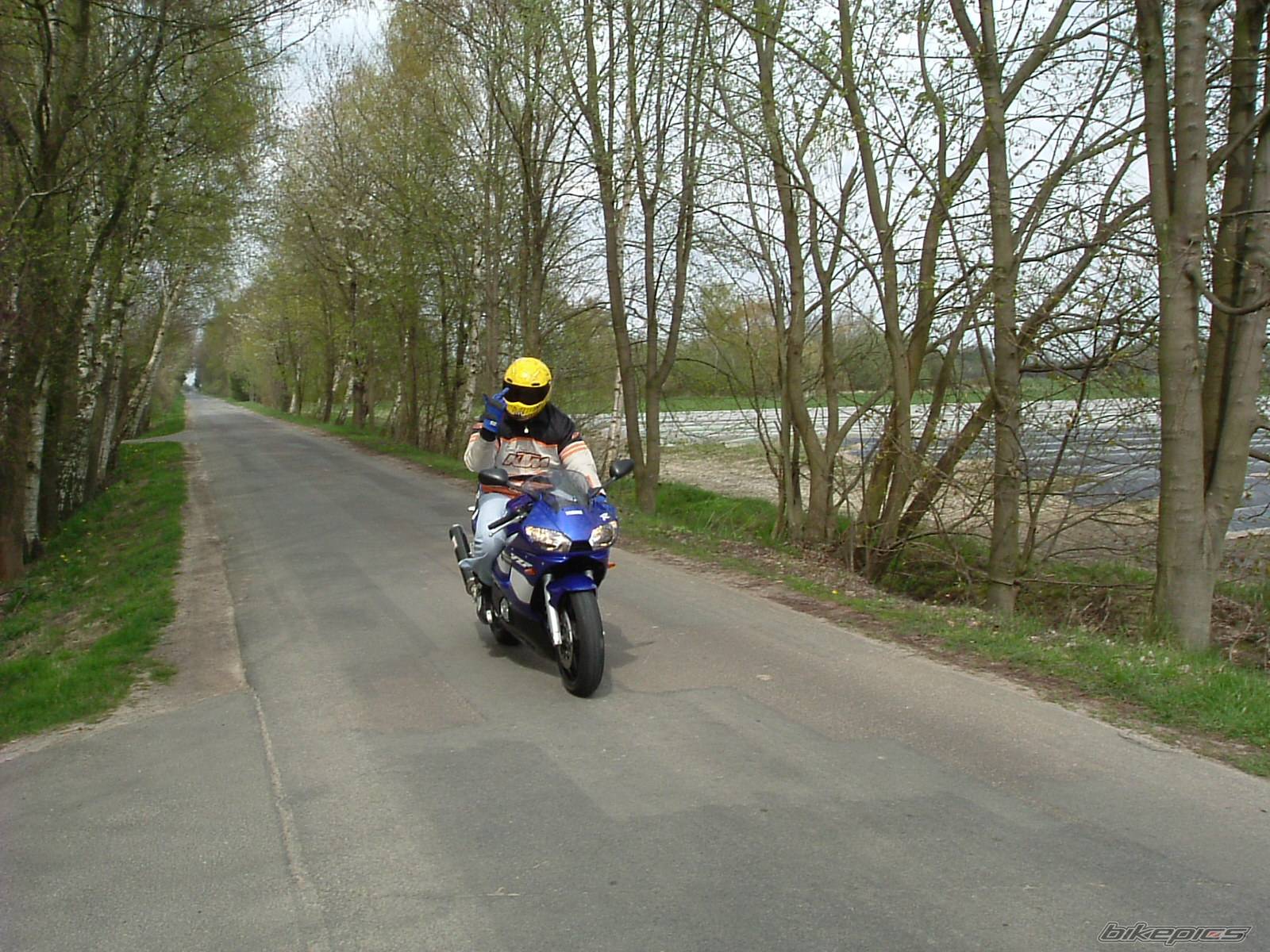 Photo 138291
