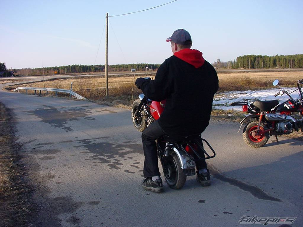 Photo 138295