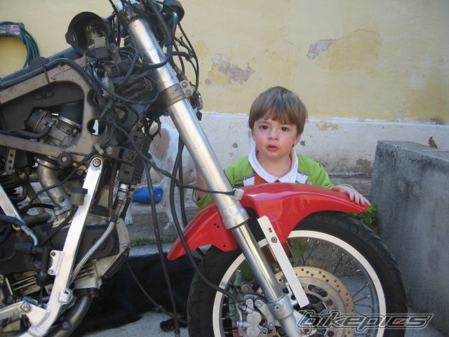 Photo 1383203