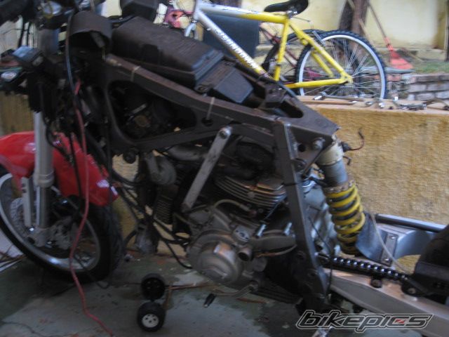 Photo 1383212