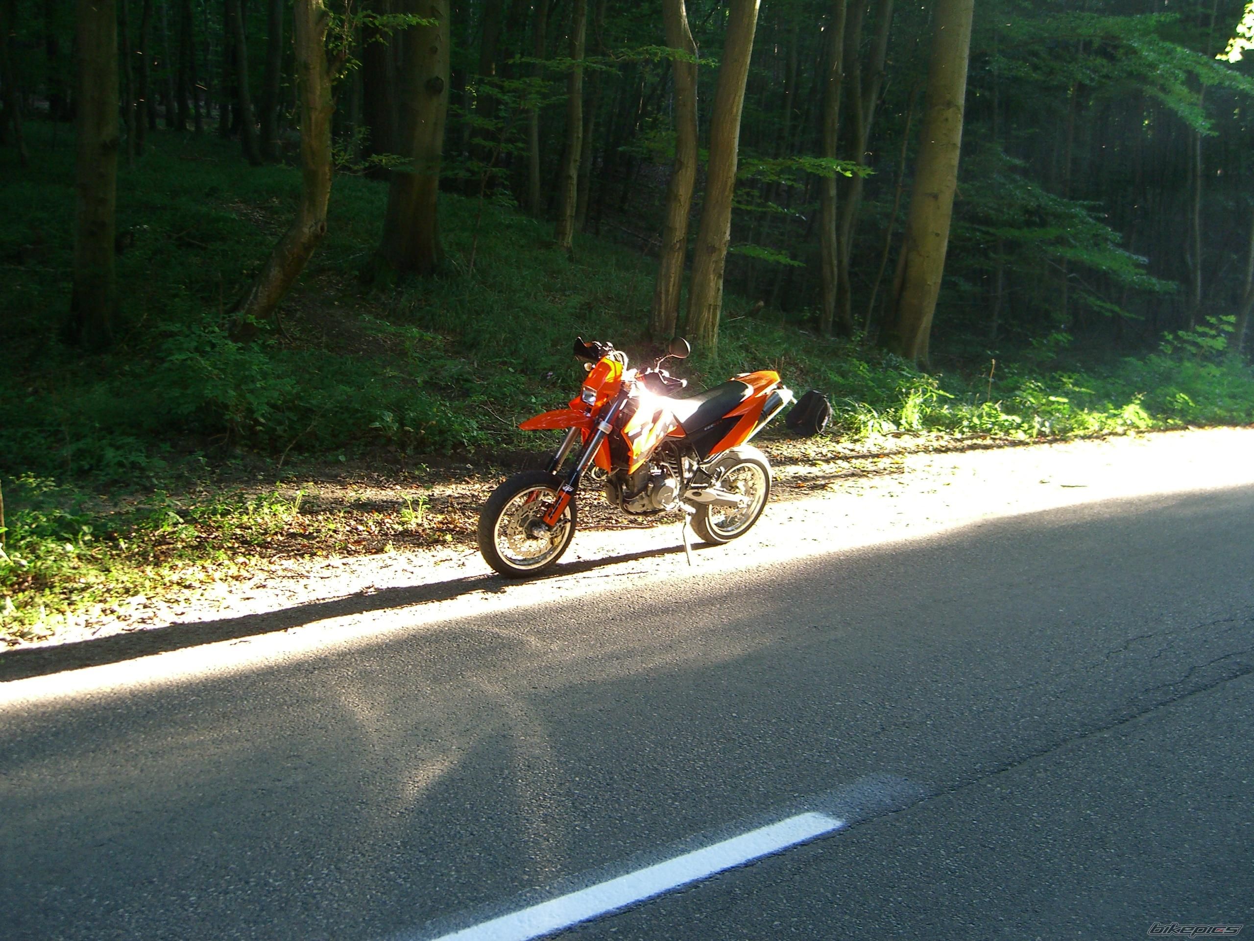 Photo 1383270