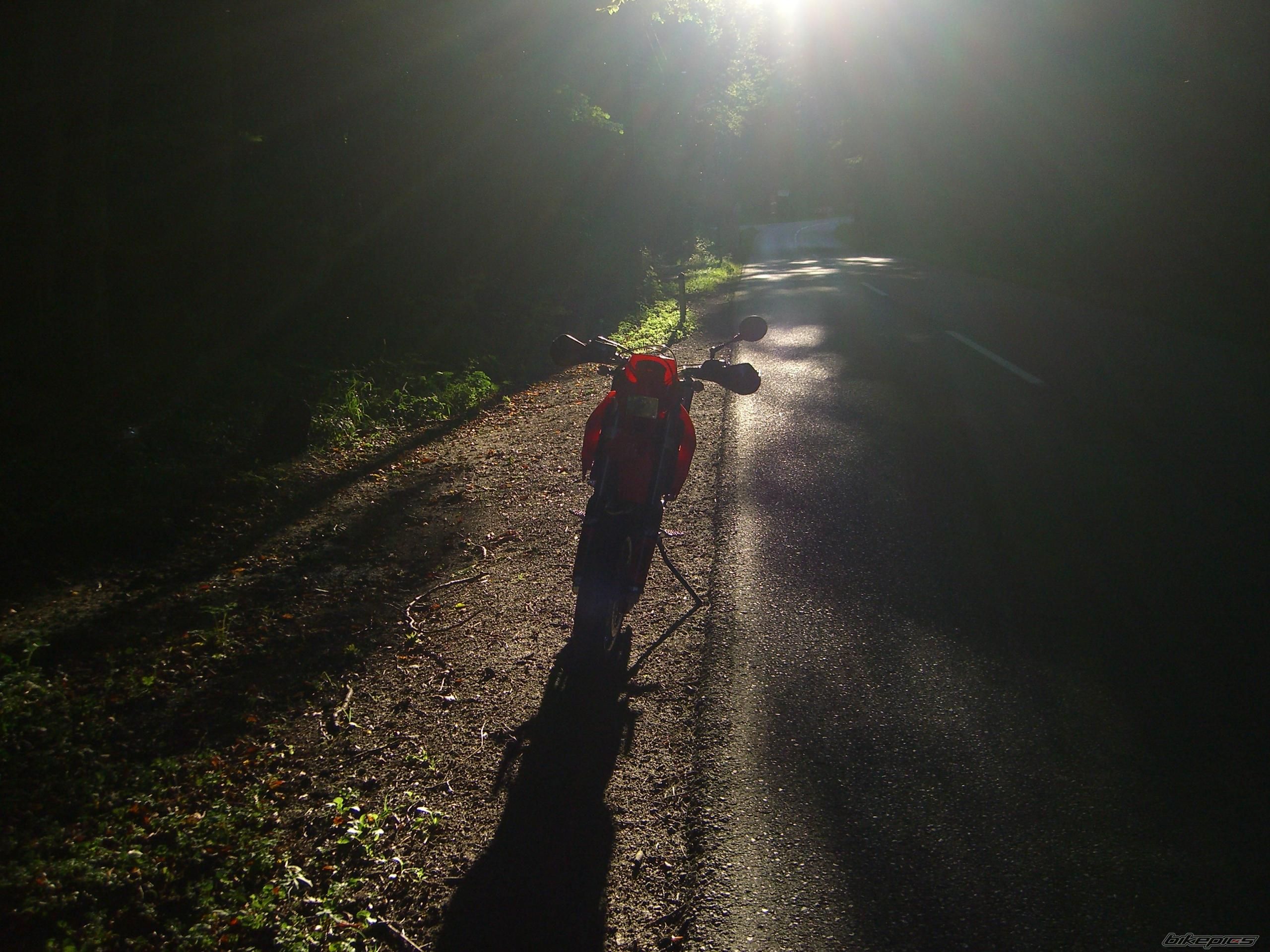 Photo 1383272