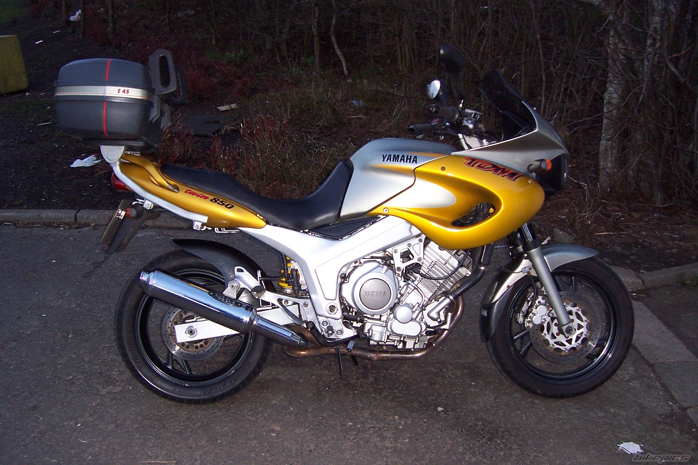 Photo 1383297