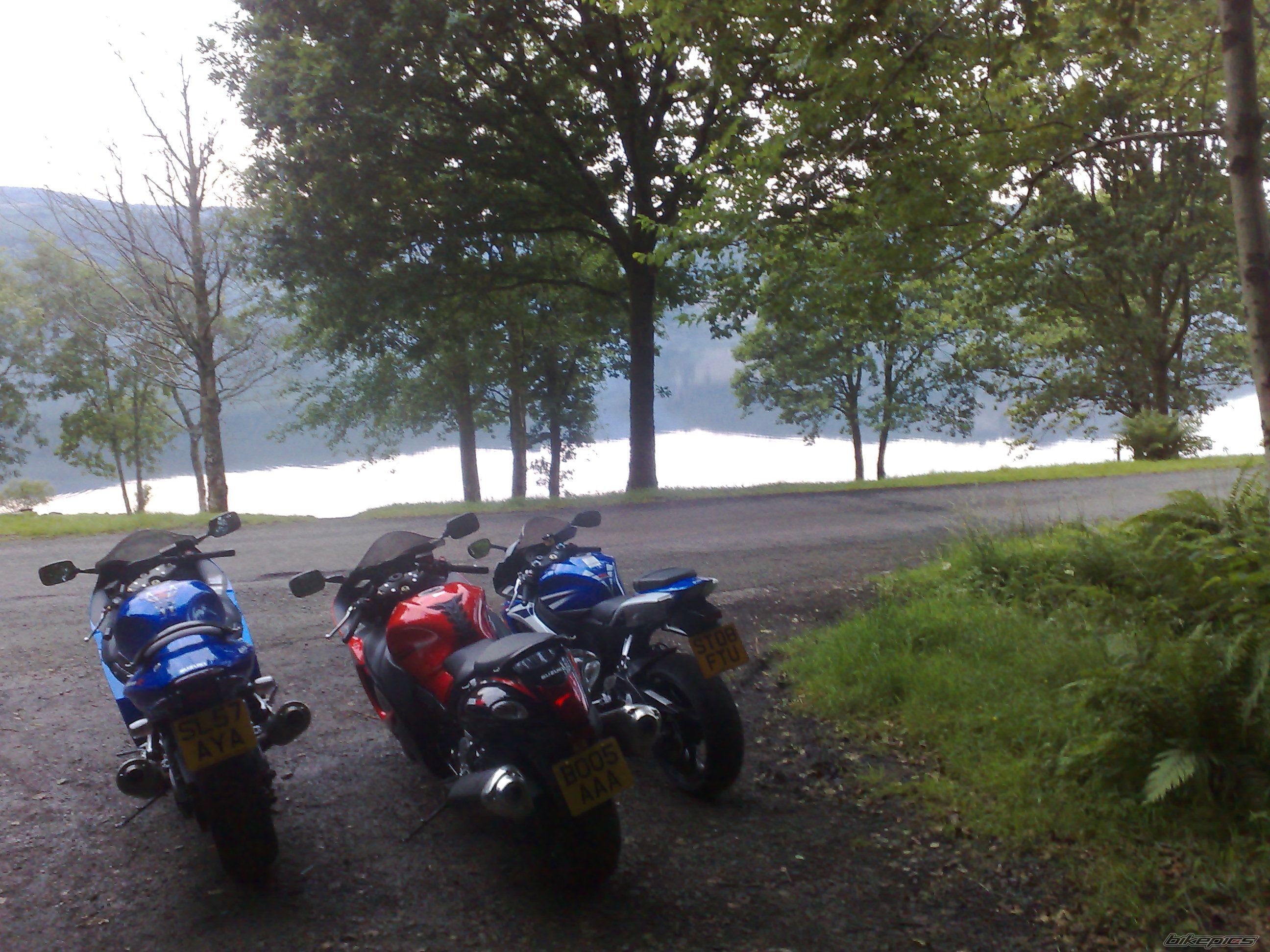 Photo 1383353