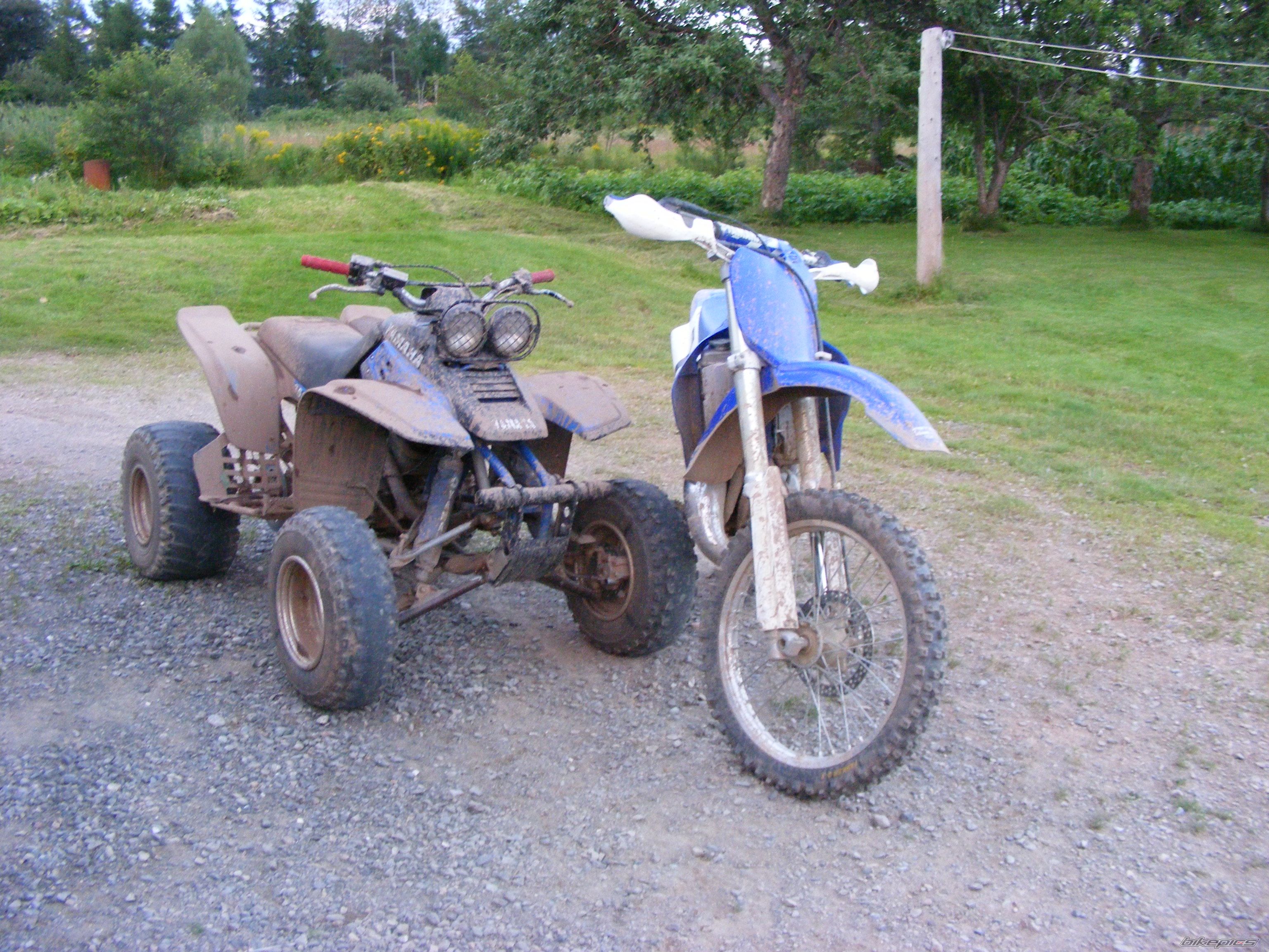 Photo 1383393