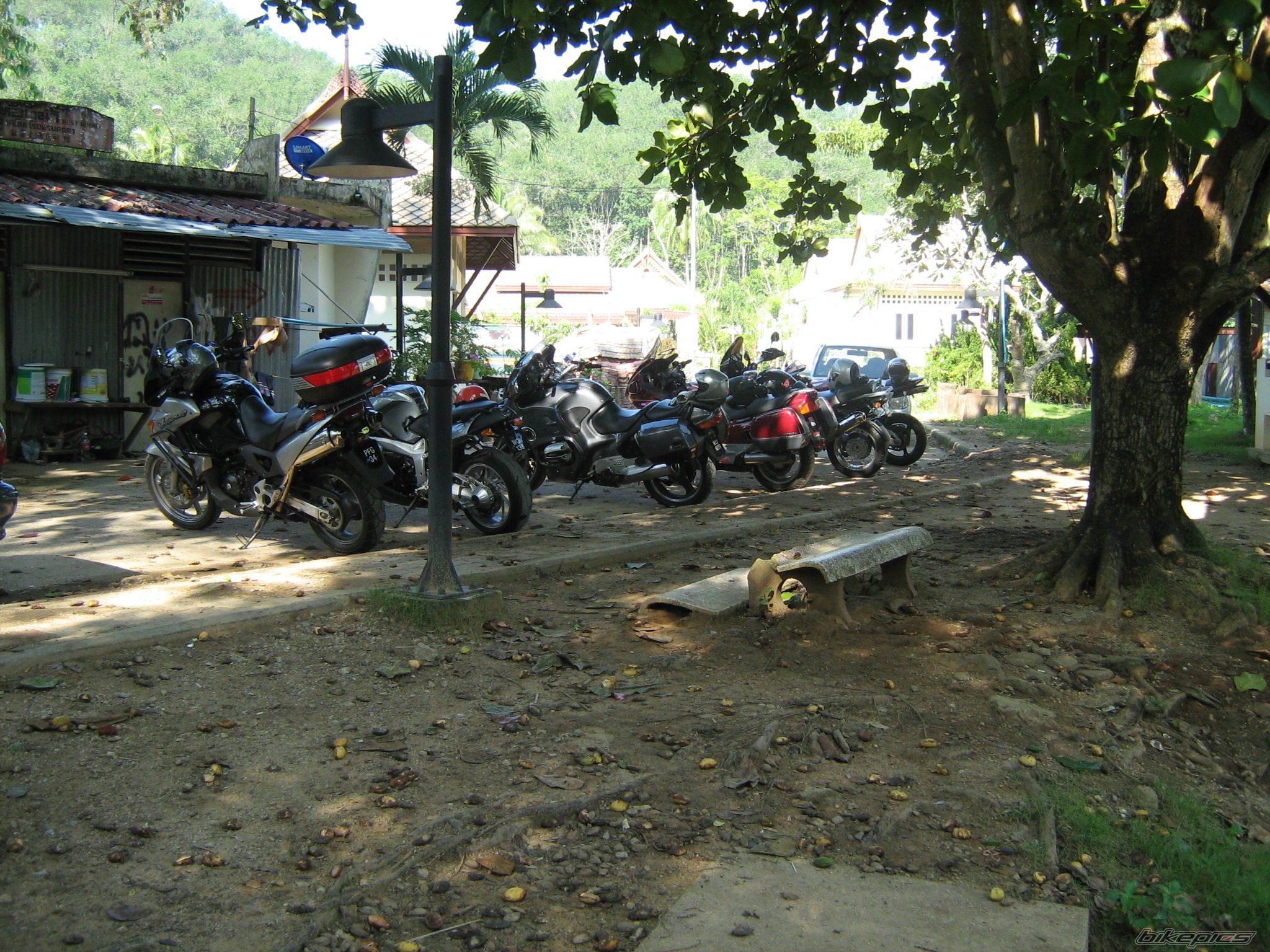 Bike Photo 1383423