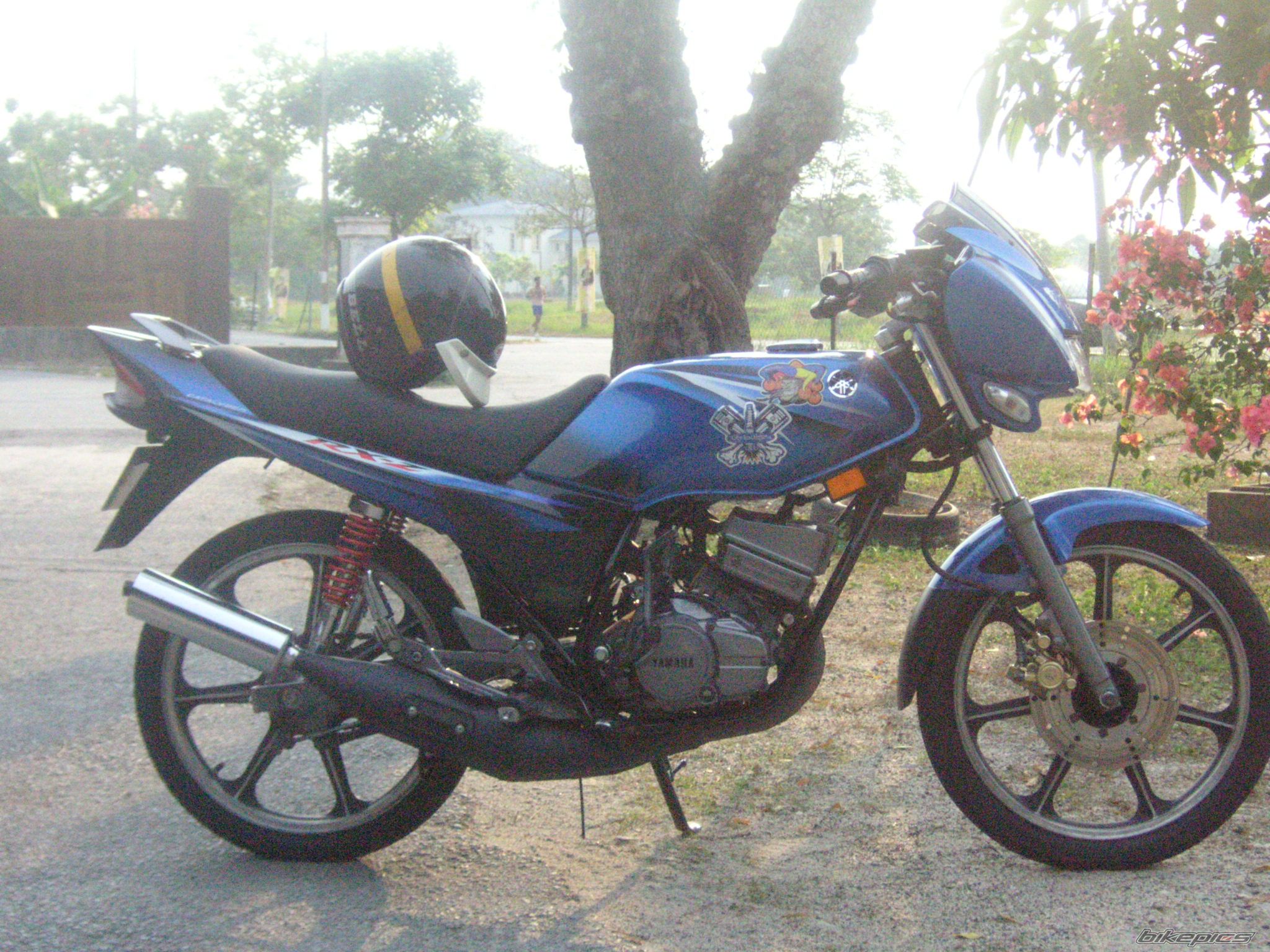 Photo 1383476