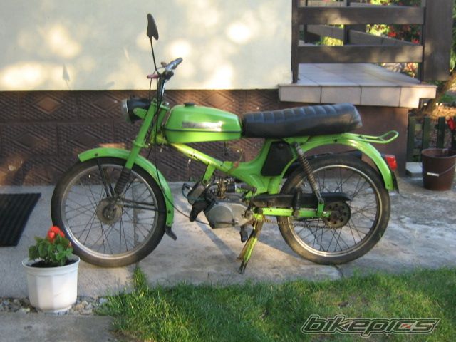 Photo 1383603