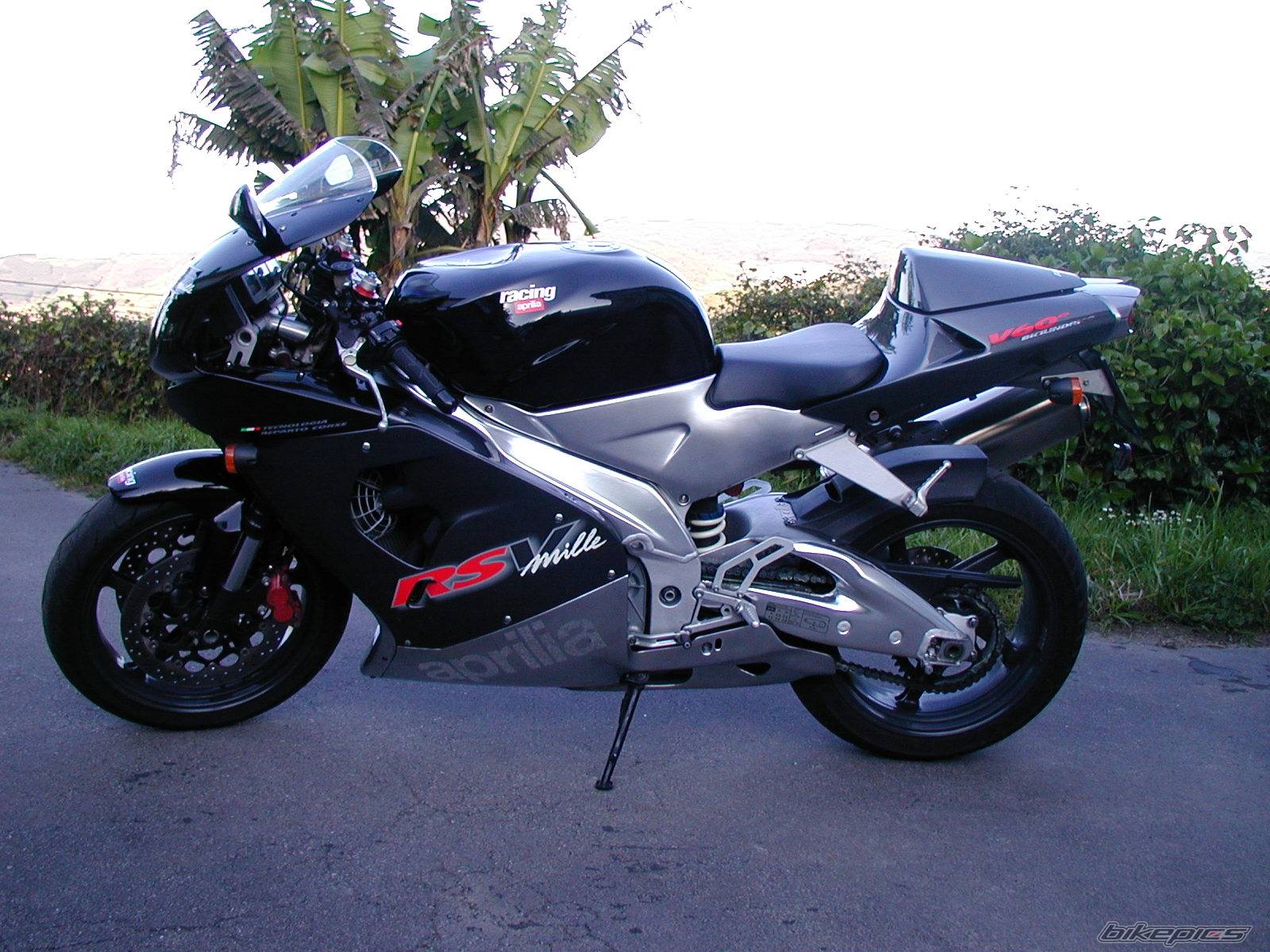 Photo 138361