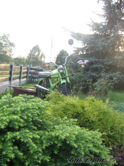 Photo 1383616