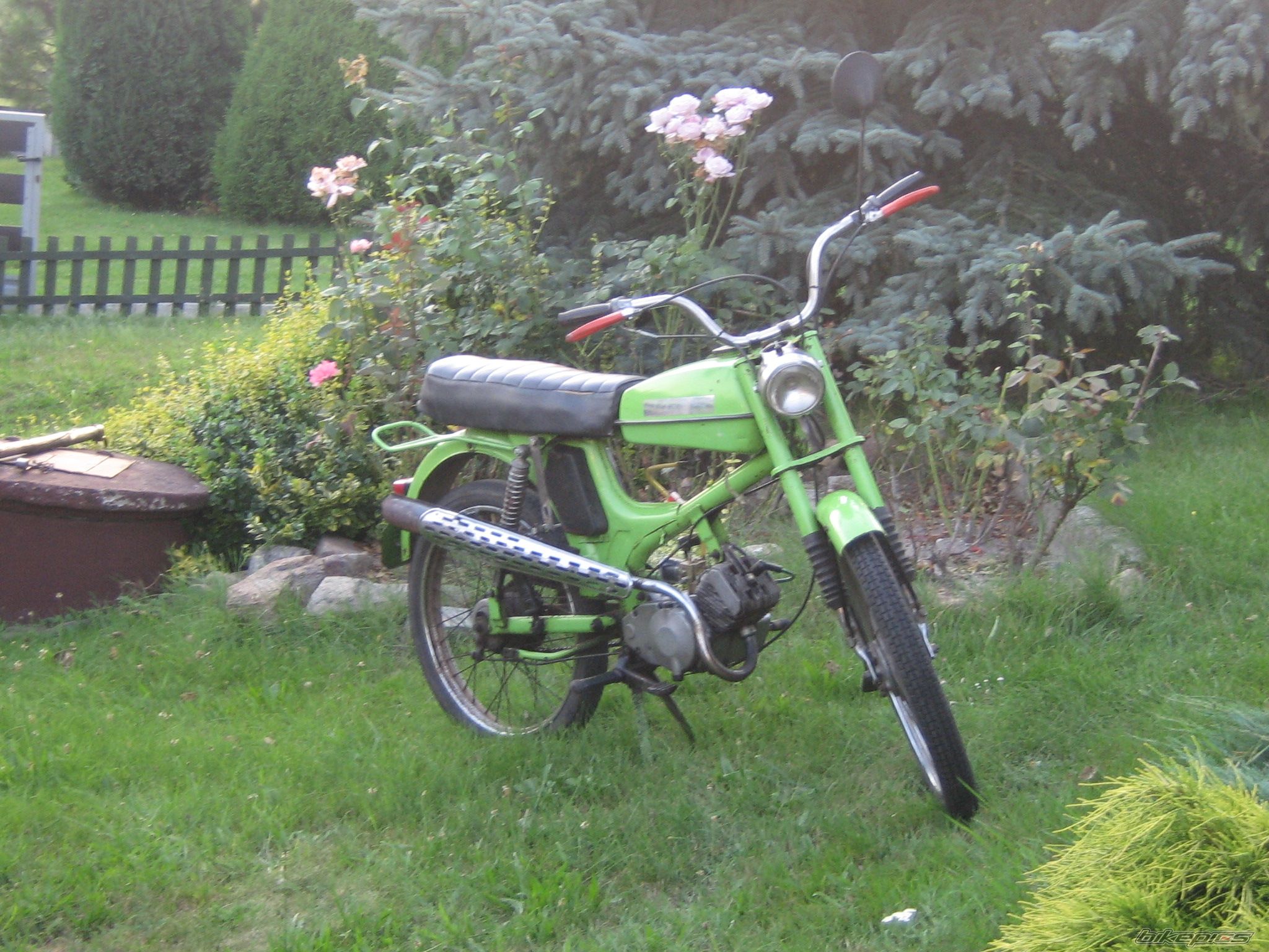 Photo 1383623