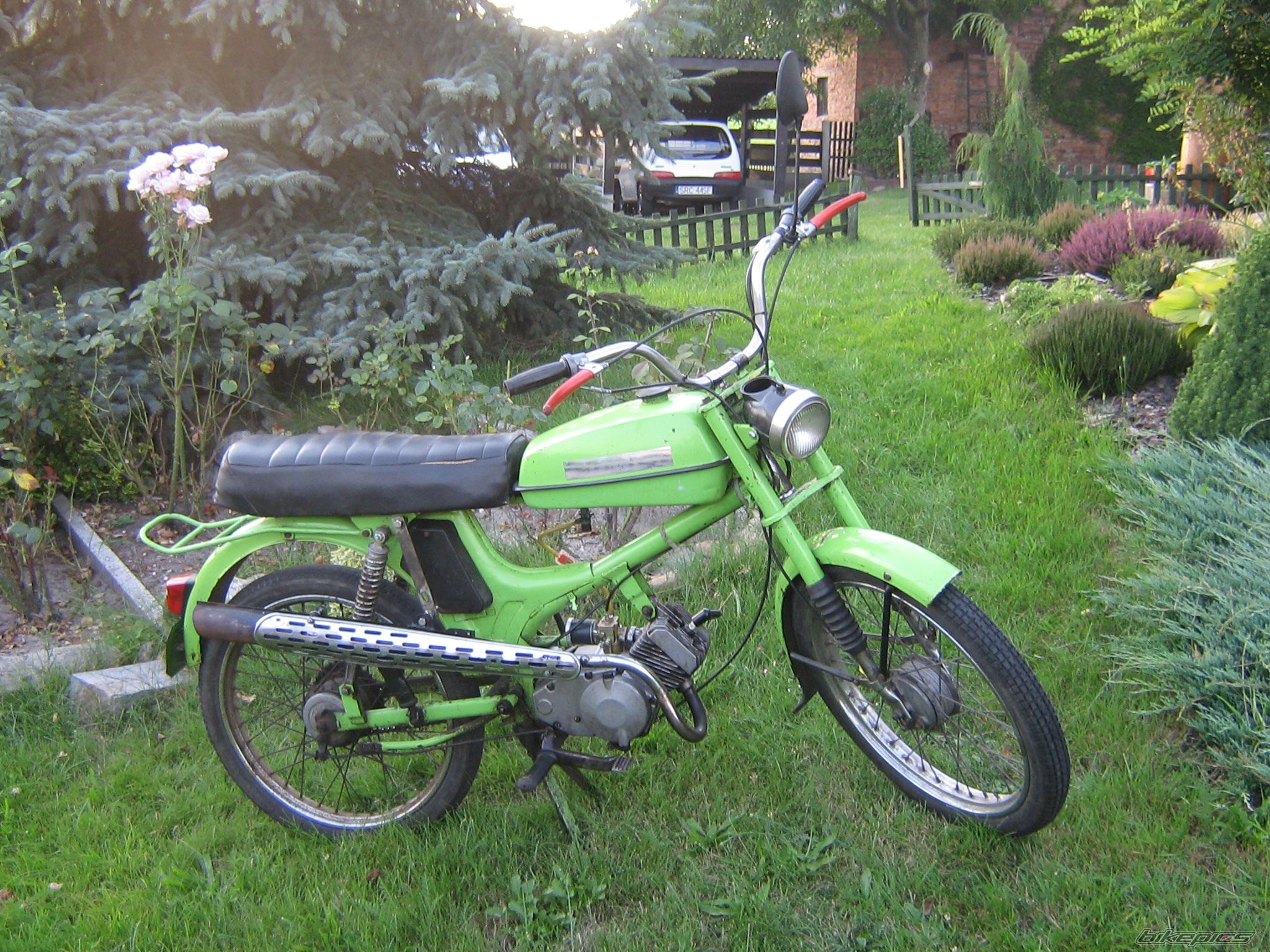 Photo 1383628