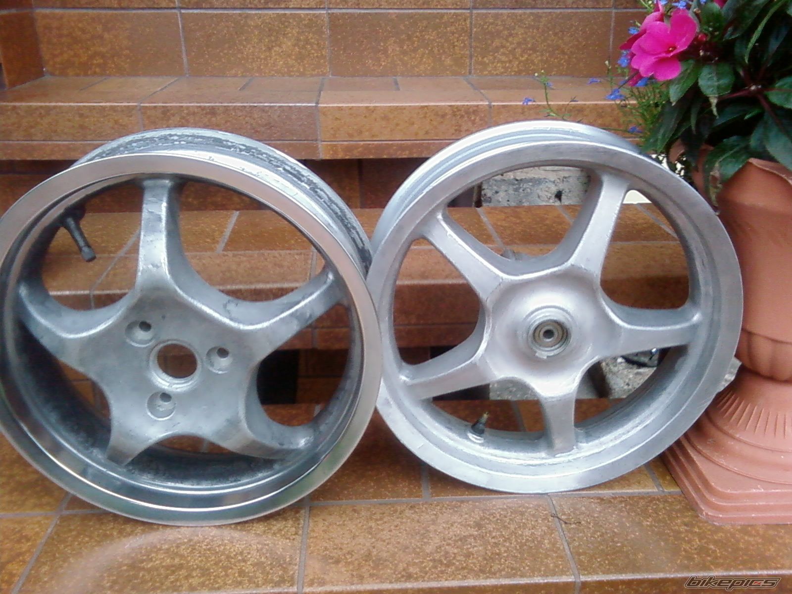 Photo 1383660